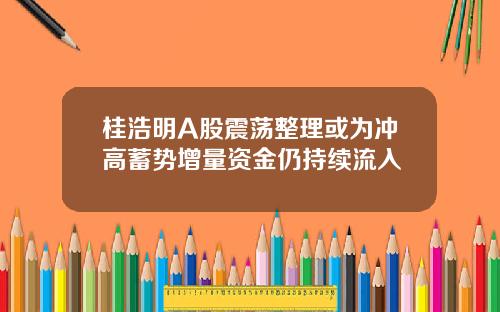 桂浩明A股震荡整理或为冲高蓄势增量资金仍持续流入