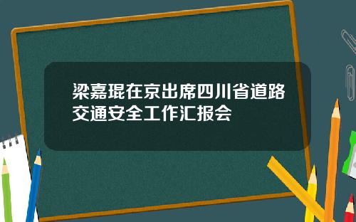 梁嘉琨在京出席四川省道路交通安全工作汇报会