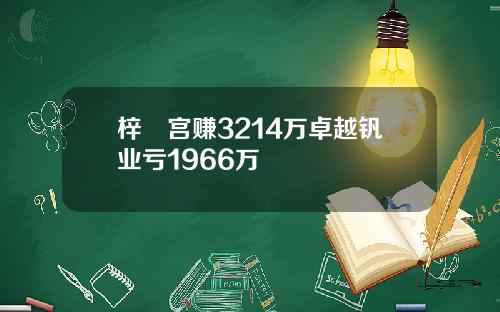 梓橦宫赚3214万卓越钒业亏1966万