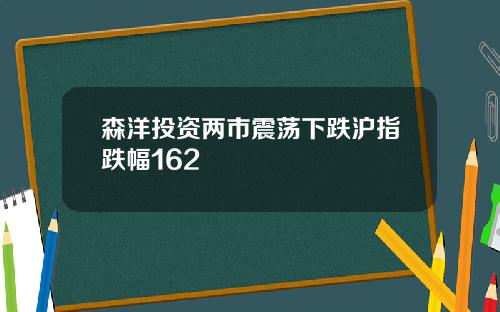 森洋投资两市震荡下跌沪指跌幅162