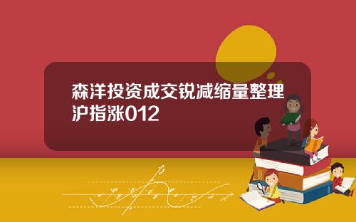 森洋投资成交锐减缩量整理沪指涨012