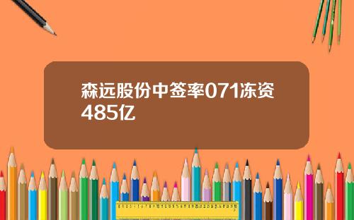 森远股份中签率071冻资485亿