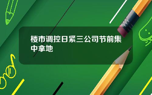 楼市调控日紧三公司节前集中拿地