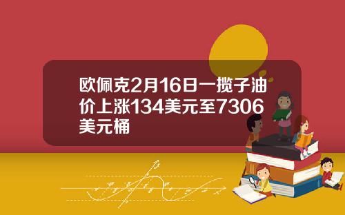 欧佩克2月16日一揽子油价上涨134美元至7306美元桶
