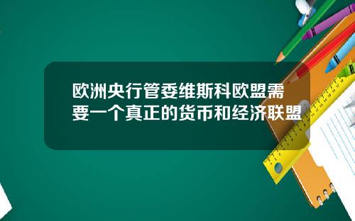 欧洲央行管委维斯科欧盟需要一个真正的货币和经济联盟