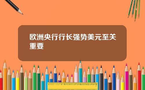 欧洲央行行长强势美元至关重要