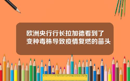 欧洲央行行长拉加德看到了变种毒株导致疫情复燃的苗头