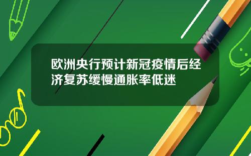 欧洲央行预计新冠疫情后经济复苏缓慢通胀率低迷