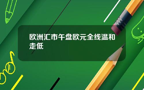 欧洲汇市午盘欧元全线温和走低