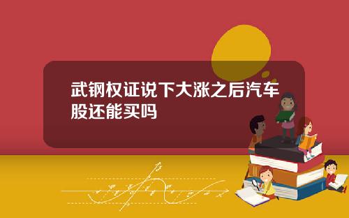 武钢权证说下大涨之后汽车股还能买吗