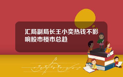 汇局副局长王小奕热钱不影响股市楼市总趋