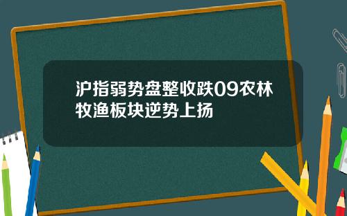 沪指弱势盘整收跌09农林牧渔板块逆势上扬