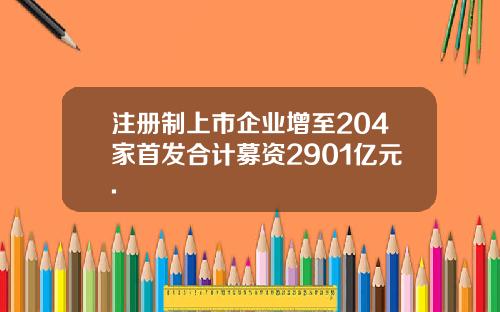 注册制上市企业增至204家首发合计募资2901亿元.