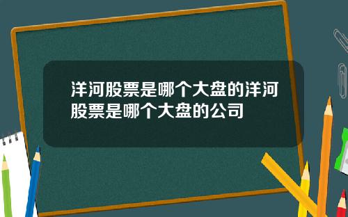 洋河股票是哪个大盘的洋河股票是哪个大盘的公司