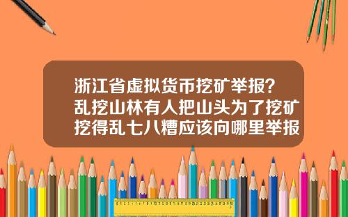 浙江省虚拟货币挖矿举报?乱挖山林有人把山头为了挖矿挖得乱七八糟应该向哪里举报