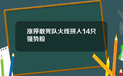 涨停敢死队火线拼入14只强势股