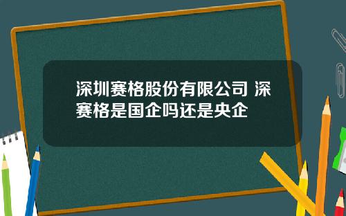 深圳赛格股份有限公司 深赛格是国企吗还是央企