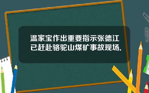温家宝作出重要指示张德江已赶赴骆驼山煤矿事故现场.