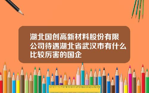 湖北国创高新材料股份有限公司待遇湖北省武汉市有什么比较厉害的国企