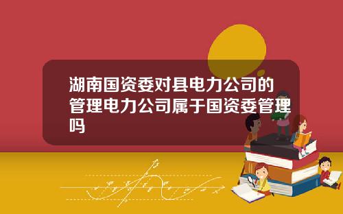 湖南国资委对县电力公司的管理电力公司属于国资委管理吗