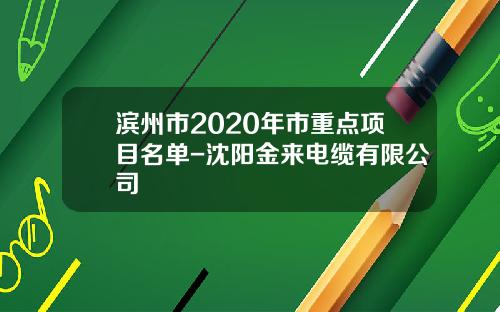 滨州市2020年市重点项目名单-沈阳金来电缆有限公司