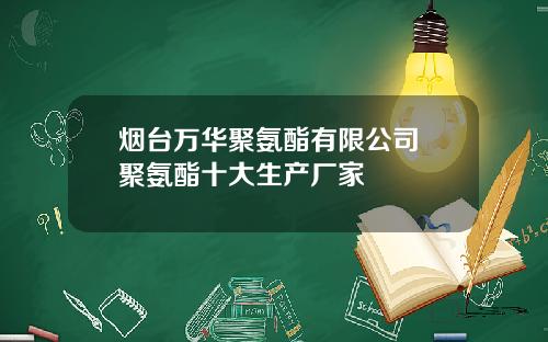 烟台万华聚氨酯有限公司 聚氨酯十大生产厂家