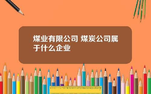 煤业有限公司 煤炭公司属于什么企业