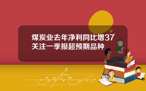 煤炭业去年净利同比增37关注一季报超预期品种