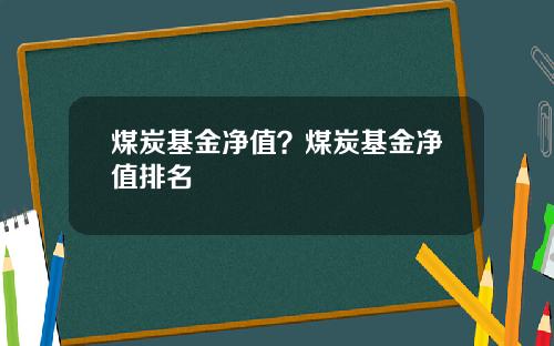 煤炭基金净值?煤炭基金净值排名