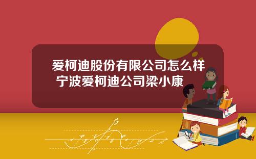 爱柯迪股份有限公司怎么样 宁波爱柯迪公司梁小康