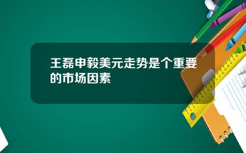 王磊申毅美元走势是个重要的市场因素