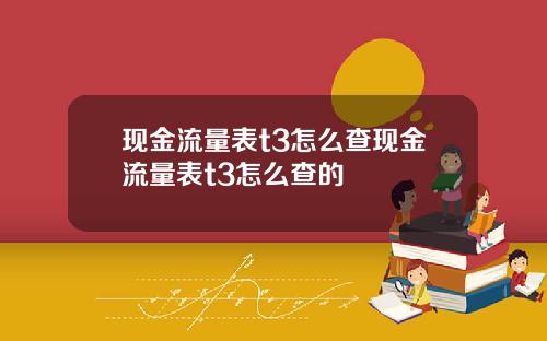 现金流量表t3怎么查现金流量表t3怎么查的