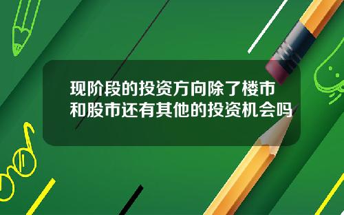 现阶段的投资方向除了楼市和股市还有其他的投资机会吗
