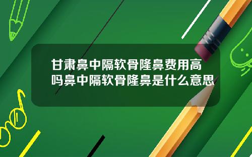 甘肃鼻中隔软骨隆鼻费用高吗鼻中隔软骨隆鼻是什么意思