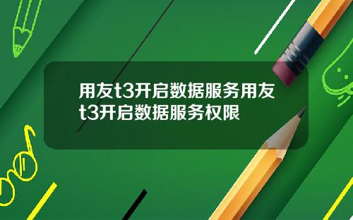 用友t3开启数据服务用友t3开启数据服务权限