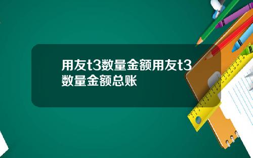 用友t3数量金额用友t3数量金额总账