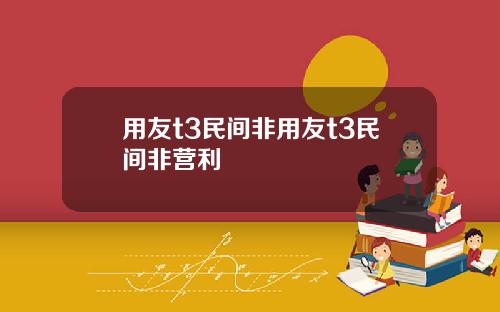 用友t3民间非用友t3民间非营利