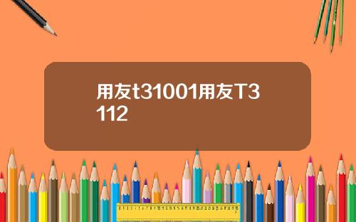 用友t31001用友T3112