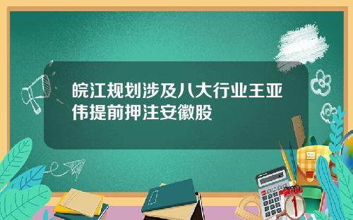 皖江规划涉及八大行业王亚伟提前押注安徽股