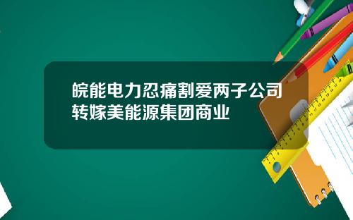 皖能电力忍痛割爱两子公司转嫁美能源集团商业