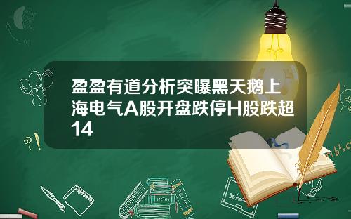 盈盈有道分析突曝黑天鹅上海电气A股开盘跌停H股跌超14