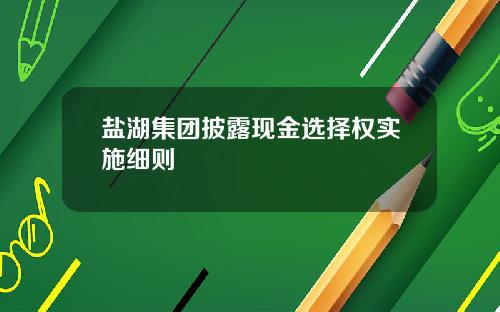 盐湖集团披露现金选择权实施细则