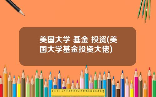 美国大学 基金 投资(美国大学基金投资大佬)