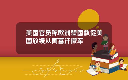 美国官员称欧洲盟国敦促美国放缓从阿富汗撤军