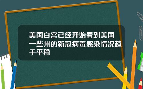 美国白宫已经开始看到美国一些州的新冠病毒感染情况趋于平稳