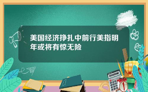 美国经济挣扎中前行美指明年或将有惊无险
