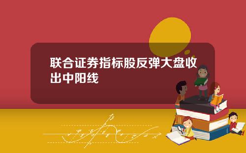 联合证券指标股反弹大盘收出中阳线