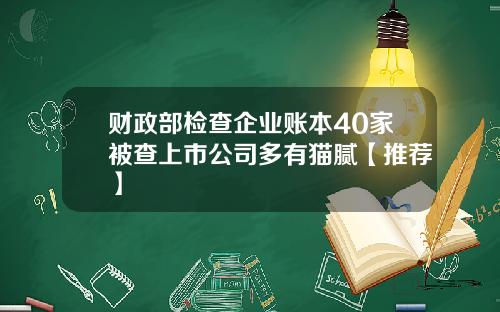 财政部检查企业账本40家被查上市公司多有猫腻【推荐】