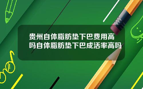 贵州自体脂肪垫下巴费用高吗自体脂肪垫下巴成活率高吗