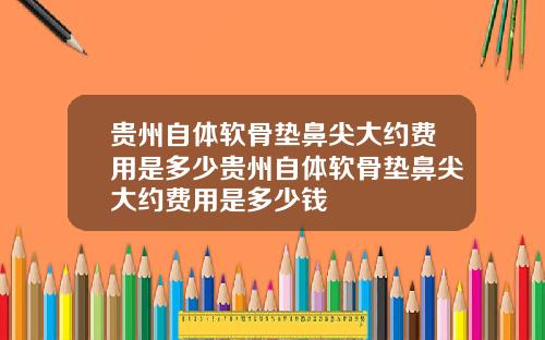 贵州自体软骨垫鼻尖大约费用是多少贵州自体软骨垫鼻尖大约费用是多少钱